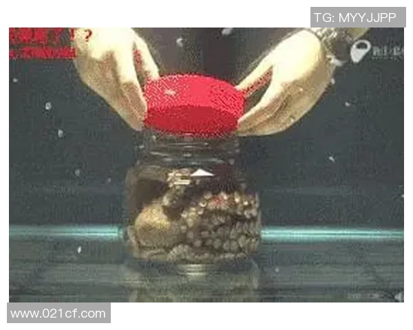 足球明星挑战极限饮食：勇吃章鱼展现独特勇气与挑战精神